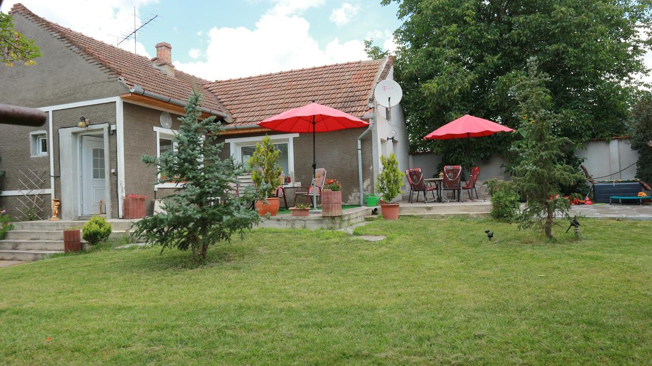 Home Tara Haţeg Εξωτερικό φωτογραφία