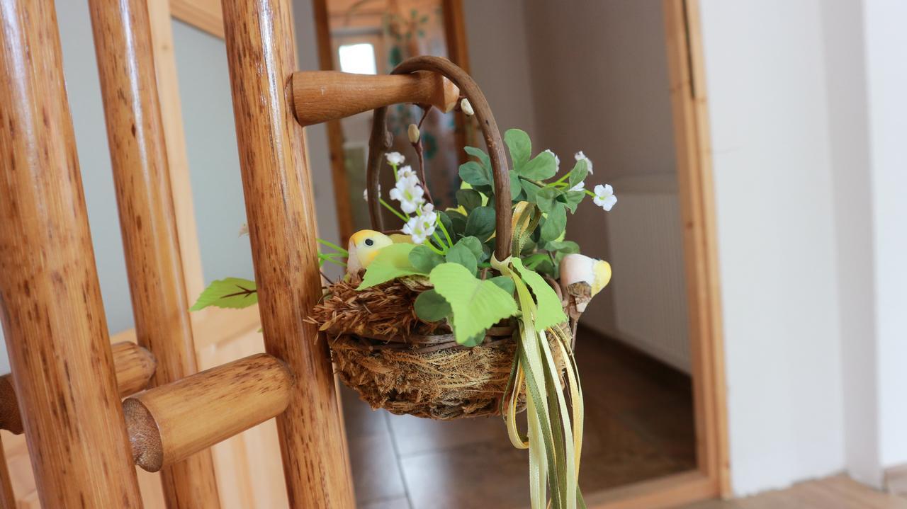 Home Tara Haţeg Εξωτερικό φωτογραφία